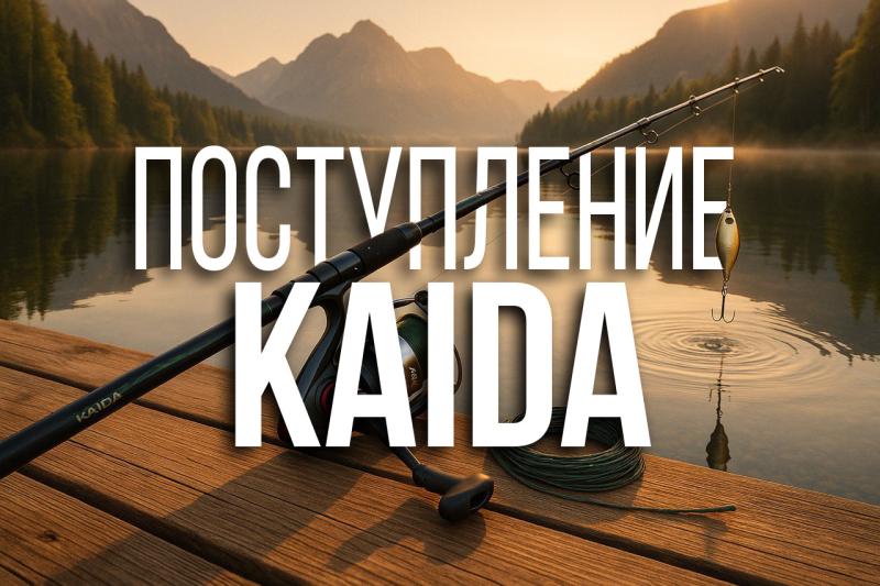 Поступление Kaida Поступление Kaida